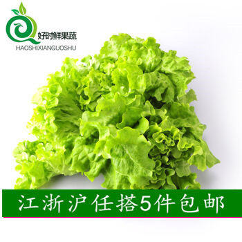 新鲜蔬菜 花叶生菜 绿萝莎 西餐配料 蔬菜沙拉 江浙沪图片