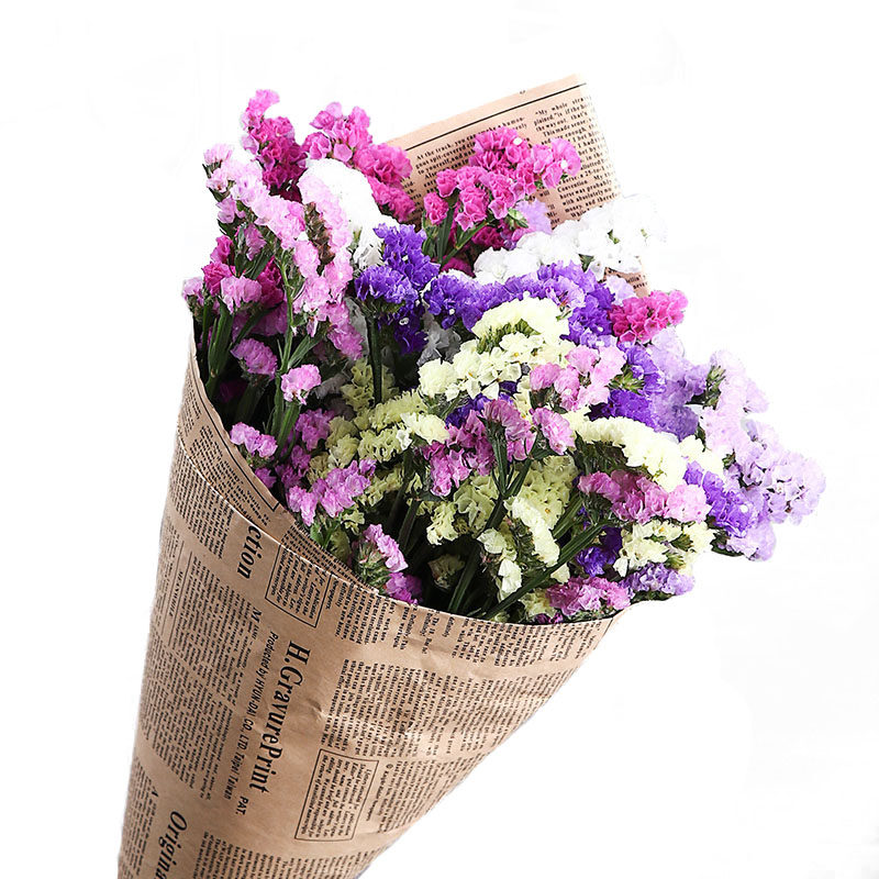 送朋友同学混搭勿忘我干花花束毕业拍照圣诞节礼物家居装饰摆设