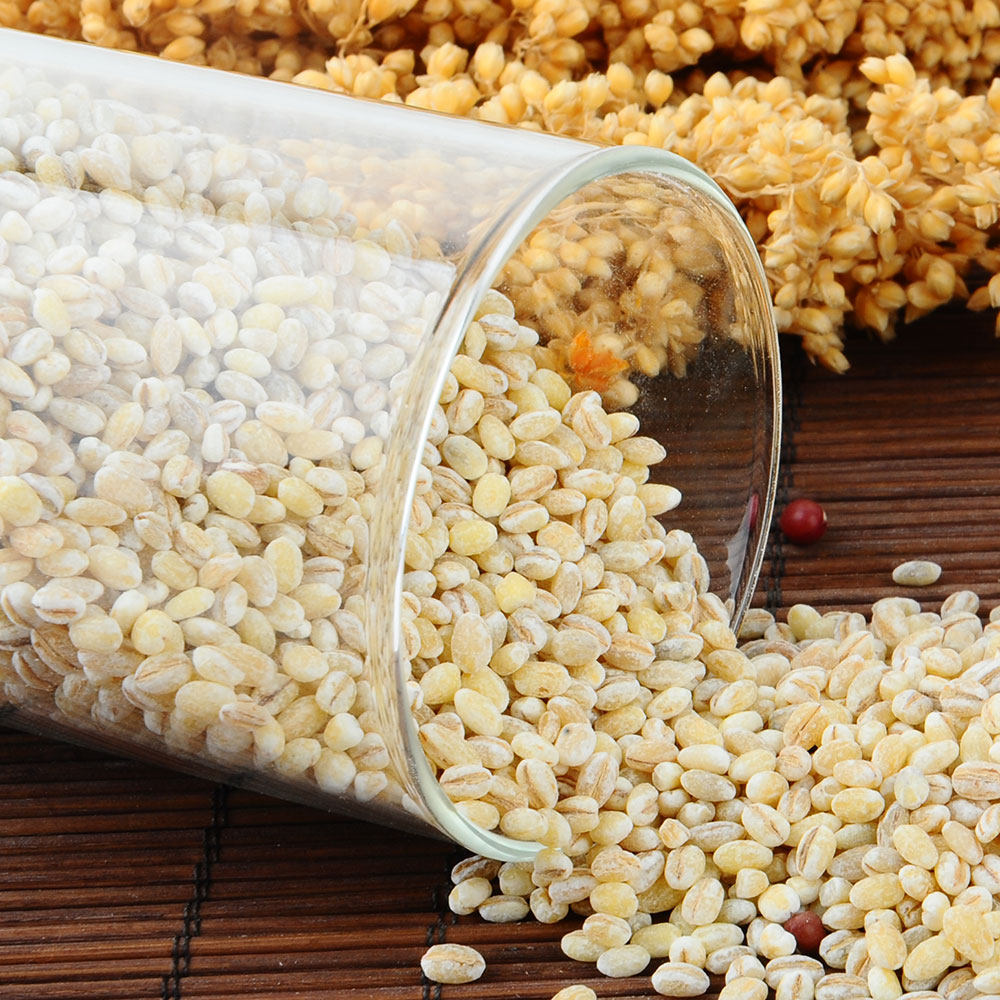 漫山芬芳 荷兰薏米1350g 薏仁 进口薏仁米 薏米