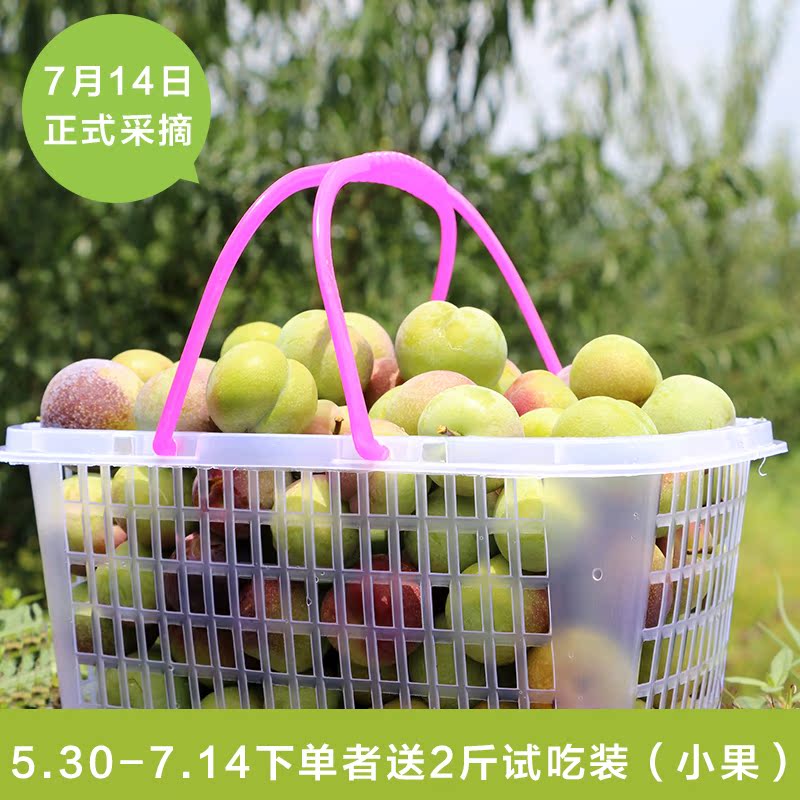 3斤装新鲜现摘水果四川泸州半边红有机李子脱