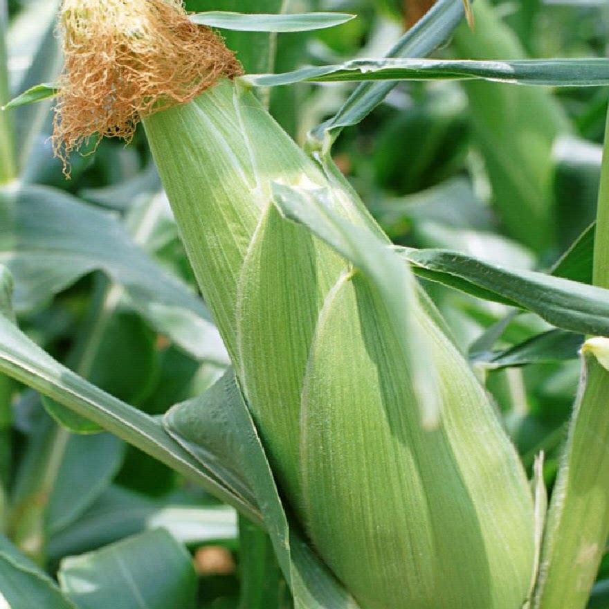 导致腿粗的3个原因,你知道几个?