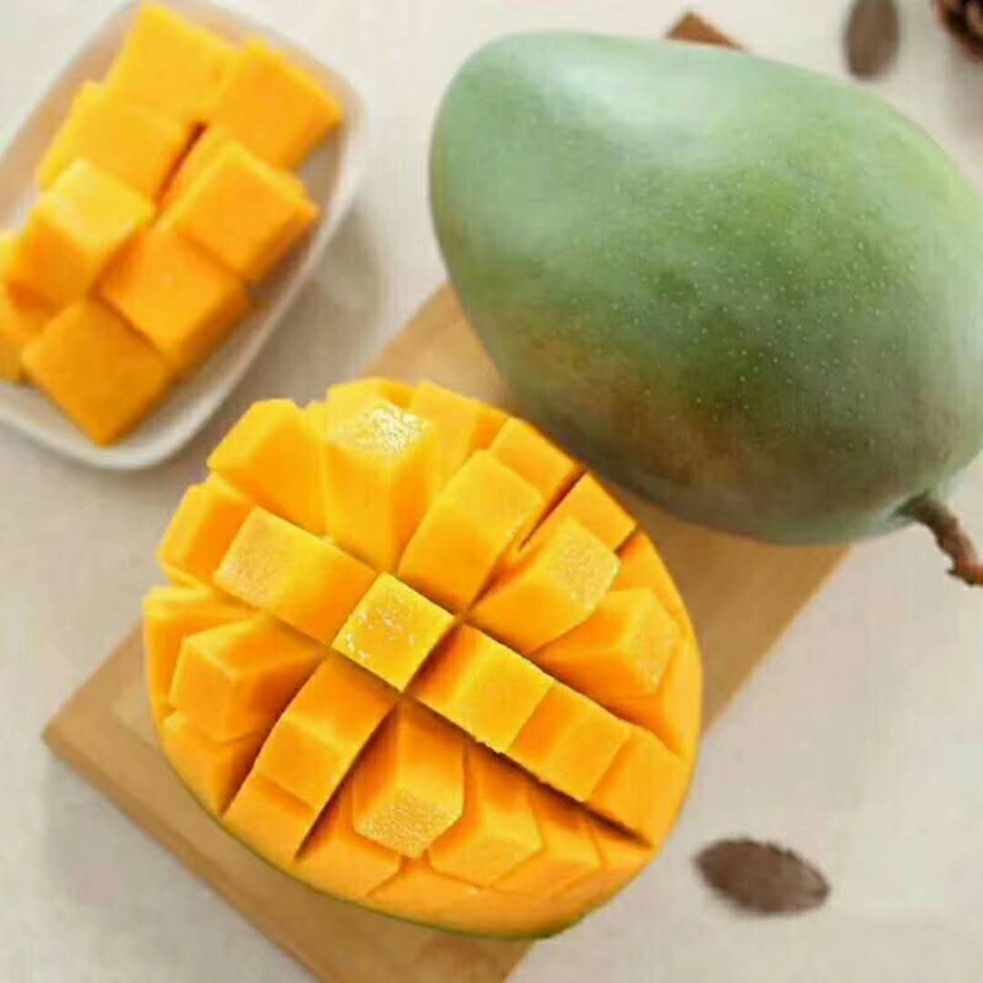 一折大芒果 凯特芒