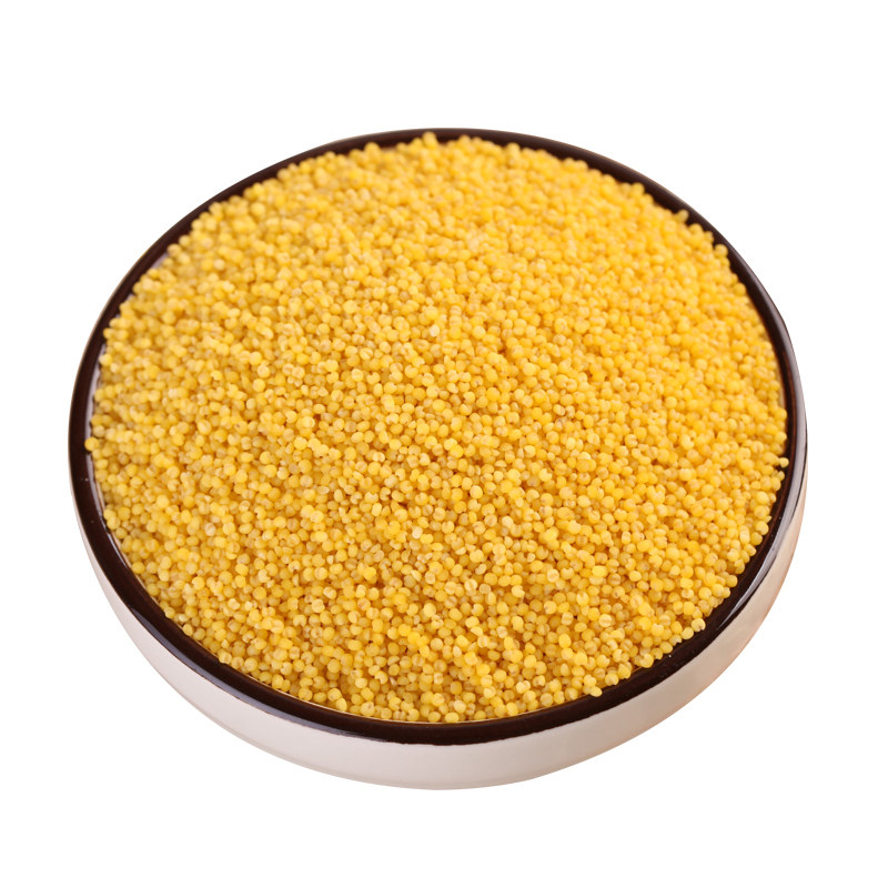 山东农家自产新小米粗粮杂粮小米子月子米食用散装500g5斤包邮