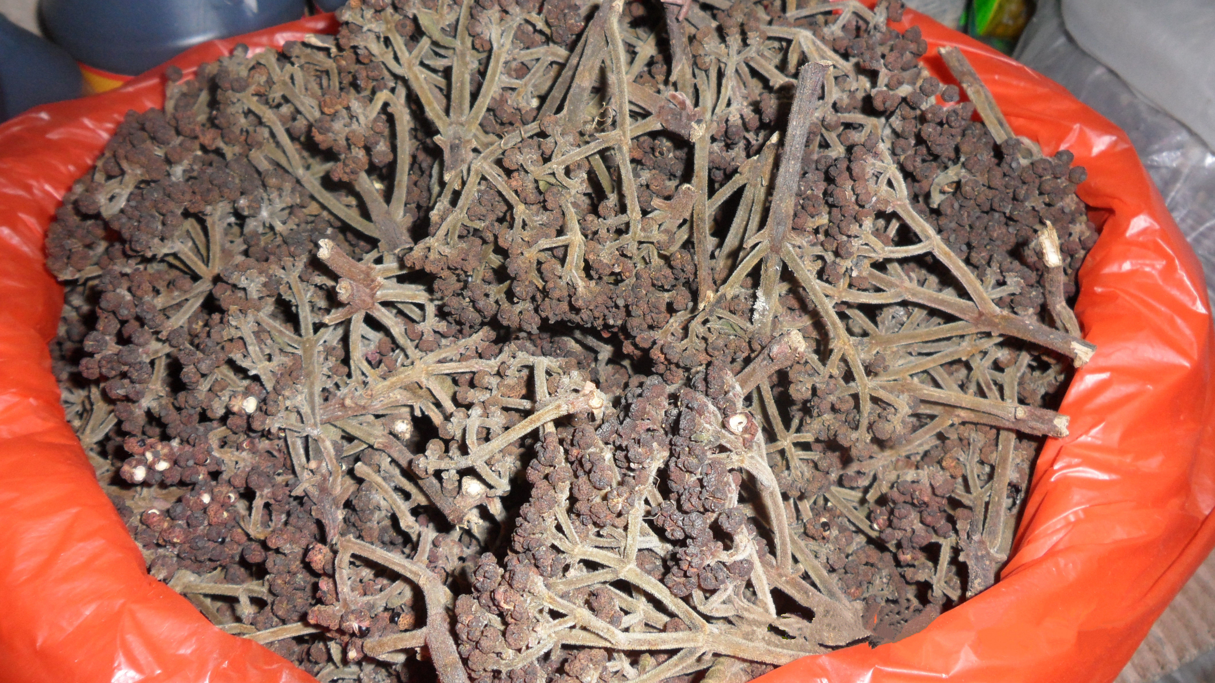 热销贵州黔东南特产黎平