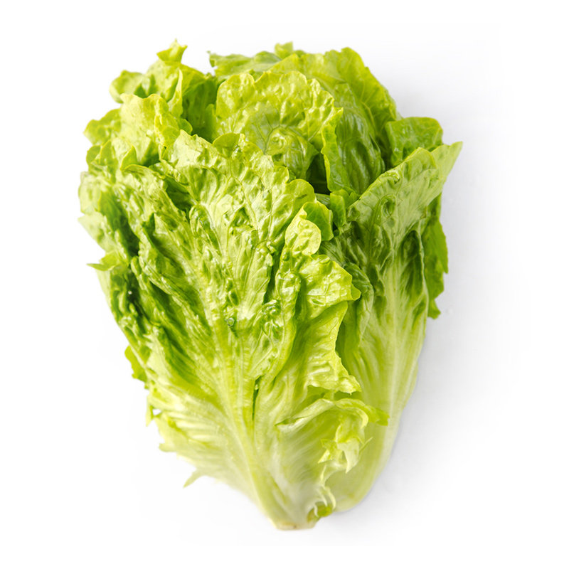 【天猫超市】精选四季生菜500g 意大利色拉菜