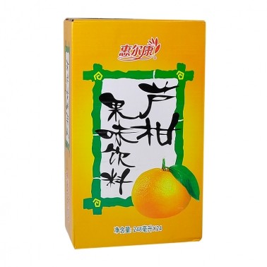 冲泡饮品 果汁粉_福建厦门惠尔康芦柑饮料果味饮料248ml*24盒清热下火