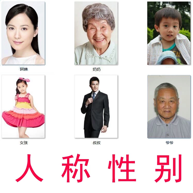 自闭症发育迟缓认知提升 宝宝早教启蒙 人物名称认知卡片 人称