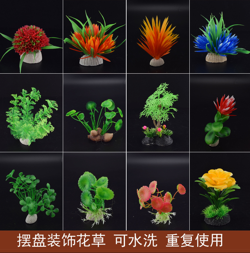 冷菜盘 创意盘饰_刺身装饰花草摆盘冷菜盘创意盘饰意境菜点缀刺身拼盘