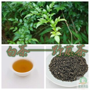 安吉白茶种植地理条件