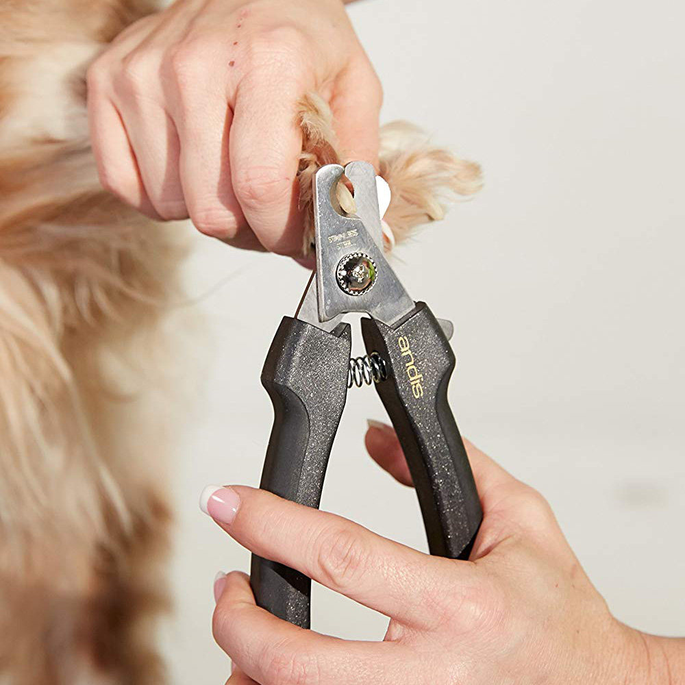 金毛指甲剪 大型_美国andis安迪斯宠物猫狗大型犬金毛泰迪专用精钢制