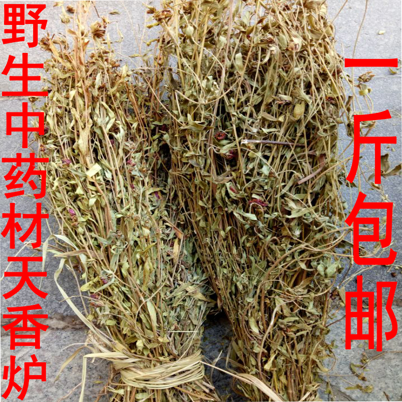 新品野生药材朝天罐 罐子草天香炉大金钟公石榴倒水莲一斤包邮
