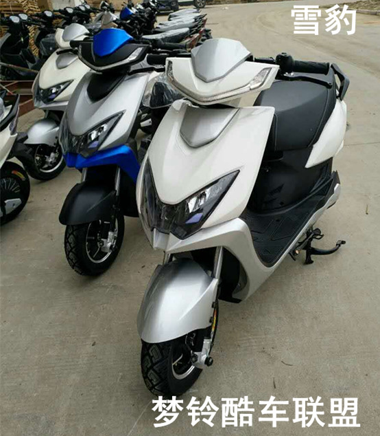 雪豹电动车72v智能遥控电摩踏板魔兽电瓶车豪华高端酷