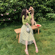 杨泡泡 牛油果绿半身裙女2019新款夏季薄网纱抹茶绿波点过膝A字裙