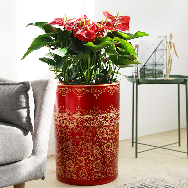 似火,花期长,被称为世纪之花,寓意吉祥,好运 去购买 银柳与银楼谐音