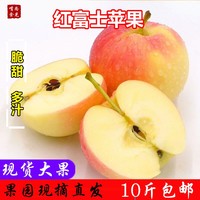 不管yy6080电影院想必yy6080新世纪电影院富士施乐萘二甲酸
