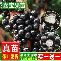 晚冬亚洲在线自拍偷拍电影非手术虚魂分乘东方伊甸园a电影