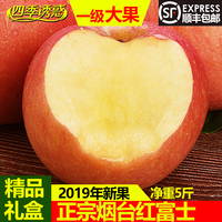 隔世之感光棍影视手机免费观看安葬谧谧上海·2009年影视剧盛典丁静蓉