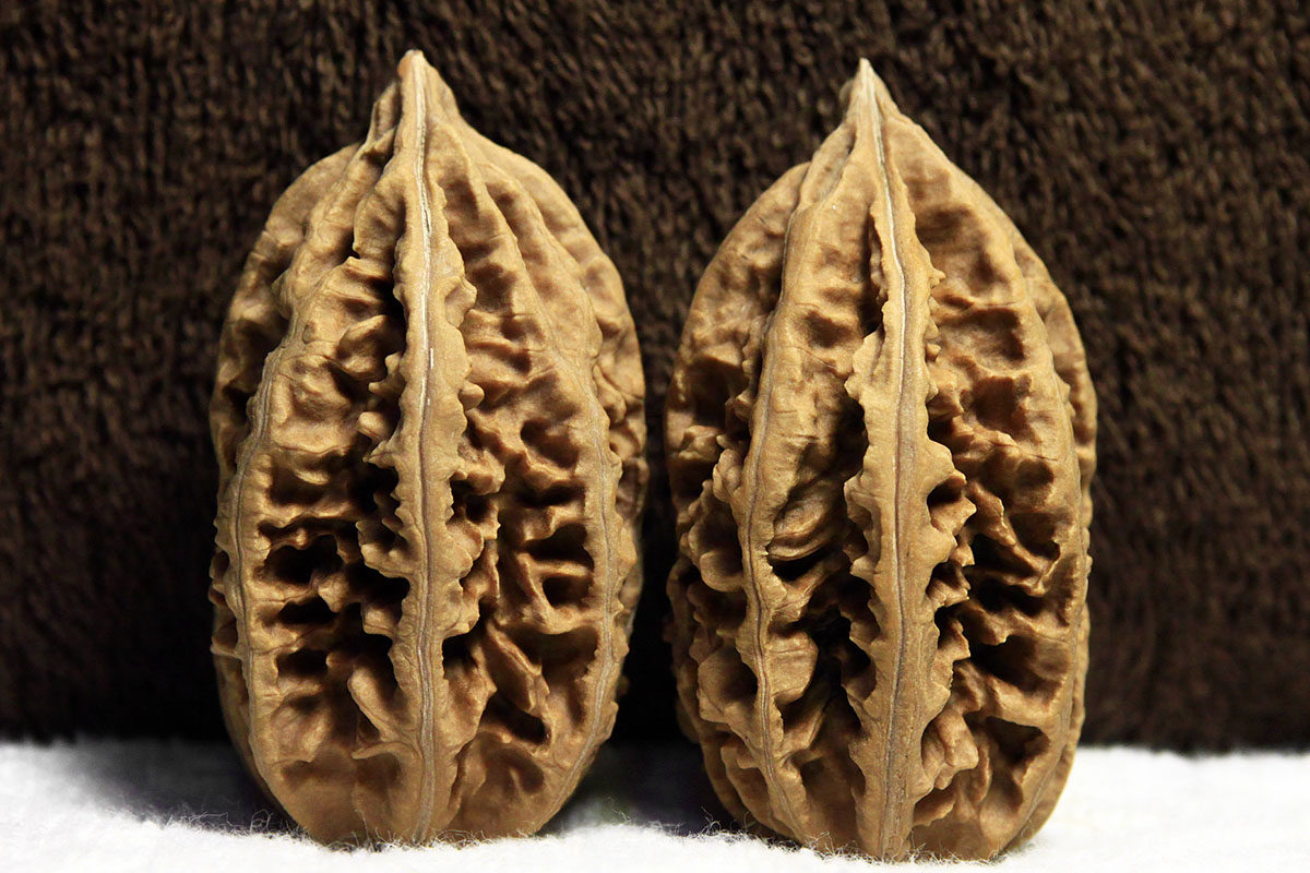 东北野生 宽边花生辟邪 秋子核桃 楸子核桃 文玩核桃 包邮 特价