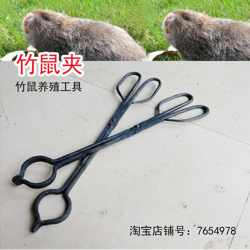 掏耳朵夹耳屎小镊子采耳儿童专用夹子工具套装专业掏