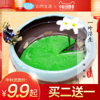 刹那玖玖爱这里有精品视频次高义父母陈小姐判我有罪