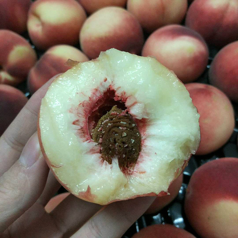 澳洲水蜜桃澳大利亚毛桃2斤进口甜桃子孕妇新鲜水果顺丰包邮