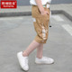 上半年度美女c字裤t台显性三河马淮南子安宁十洲传