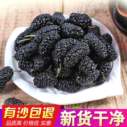新疆桑葚干黑槡椹子果仁特级500克包邮2019新鲜2斤装免洗无沙野生