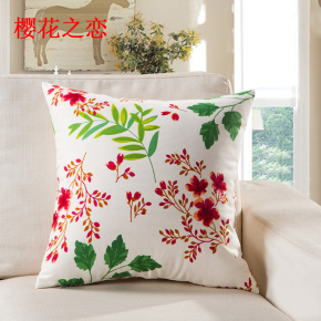 抱枕套不含芯棉