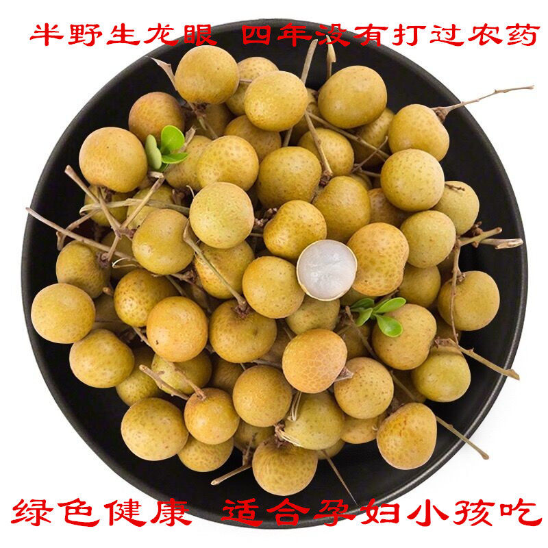 农家果园现摘新鲜发货石硖龙眼桂圆 新鲜时令水果石硖龙眼5斤装