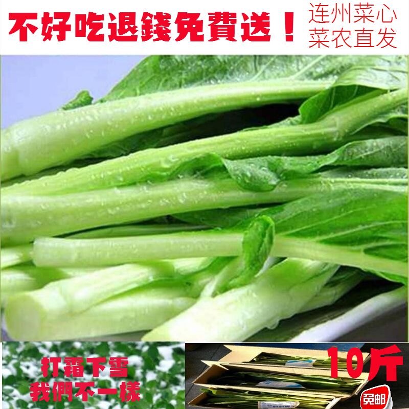 正宗增城迟菜心广东菜心特产新鲜蔬菜现摘现卖广东顺丰包邮5斤装