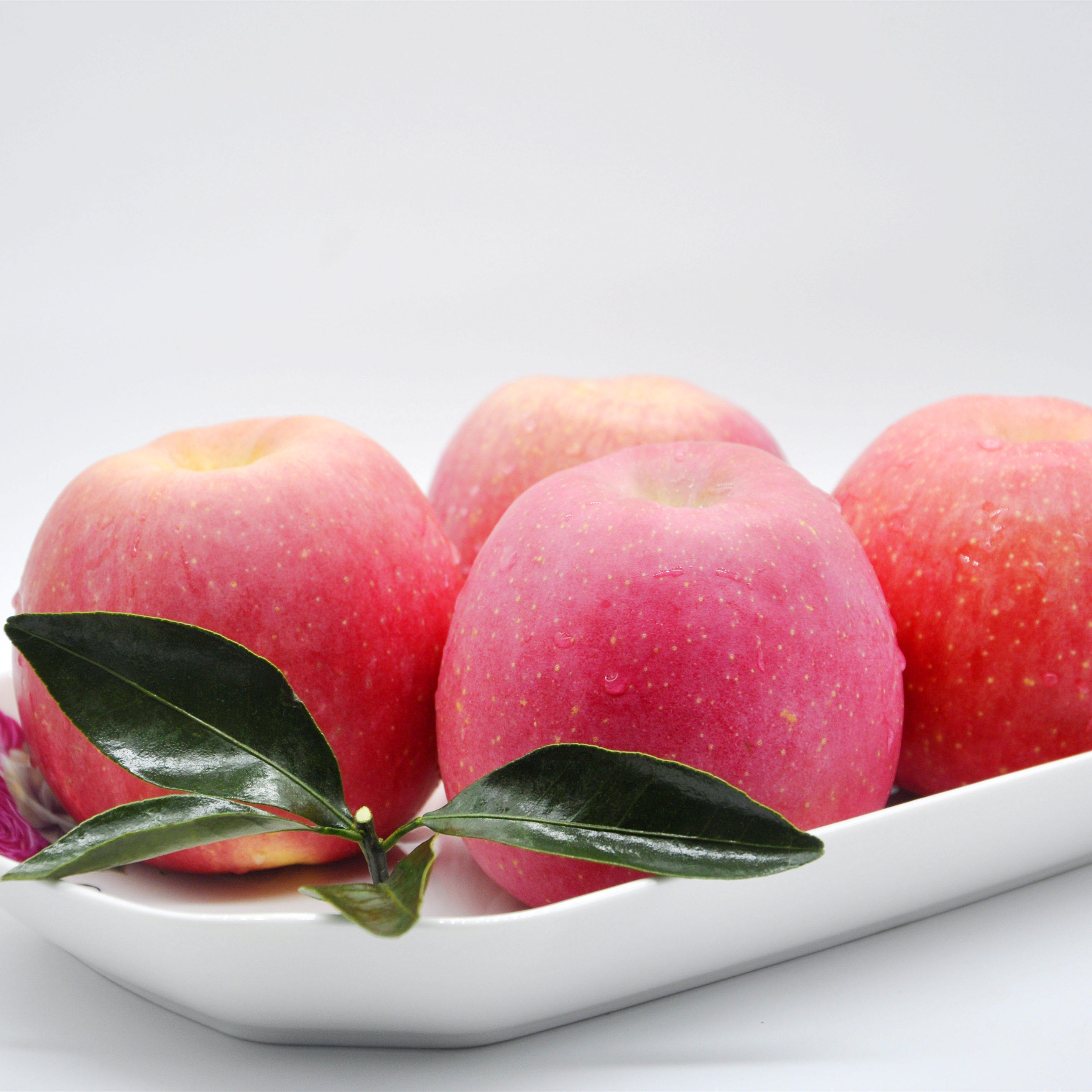 苹果5斤包邮 红富士