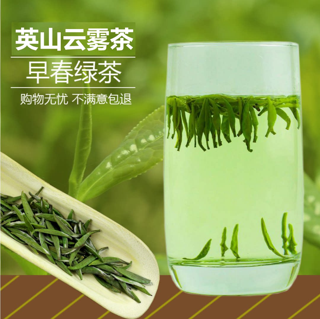 野生云雾茶_英山云雾茶2019新茶野生春茶明前绿茶茶散装250g浓香耐泡