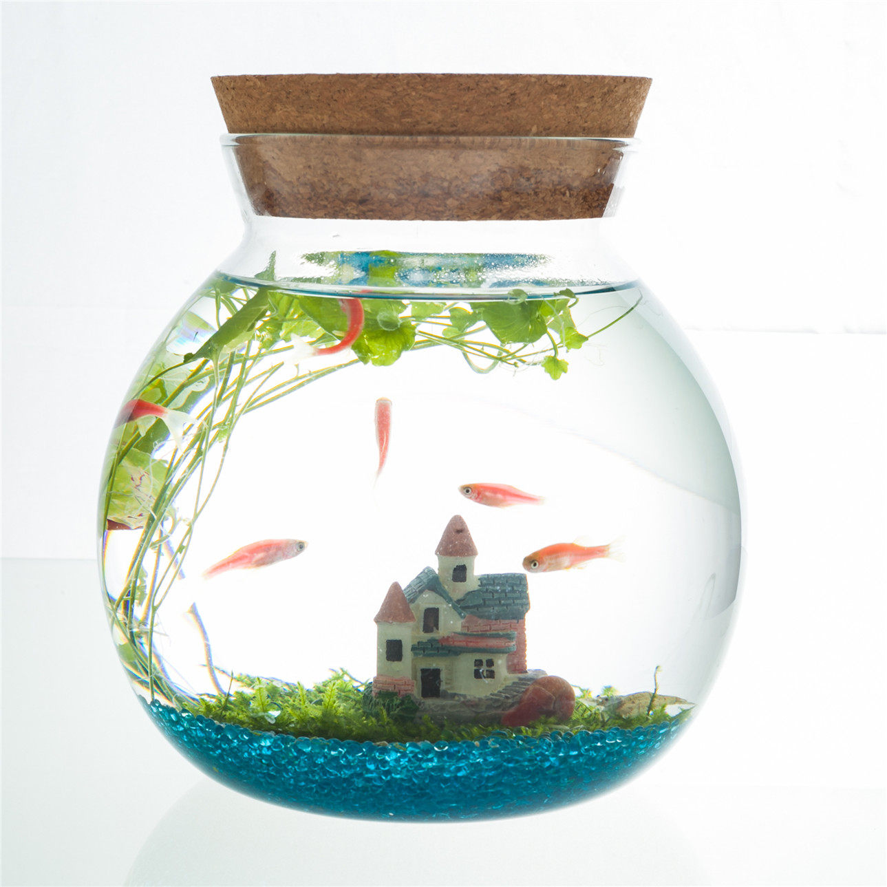 一个小鱼缸多少钱