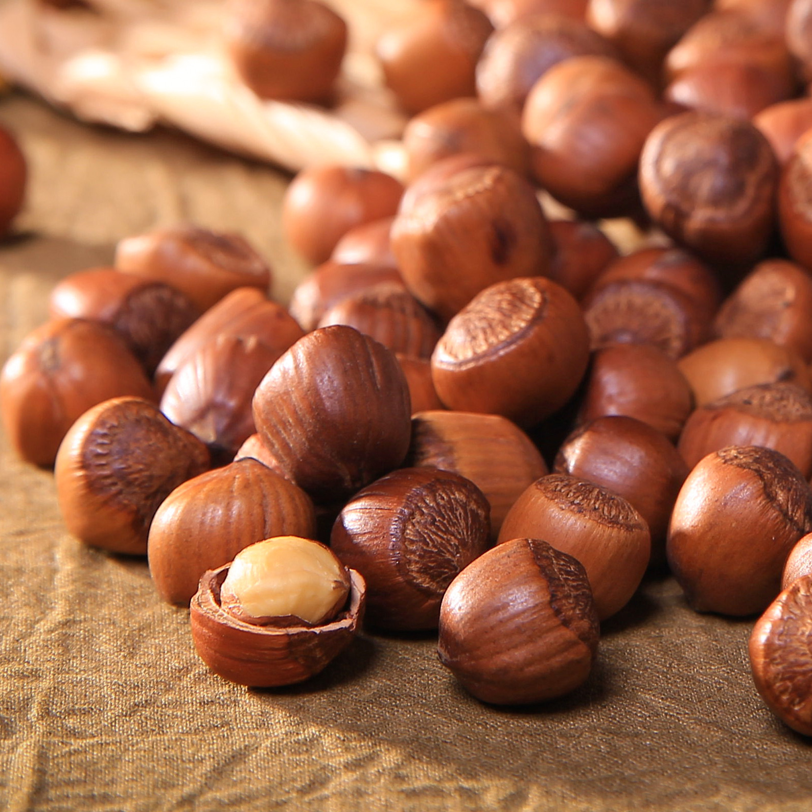 热销抚顺特产榛子_新年特惠500斤东北铁岭野生榛子1袋500g包邮2斤送