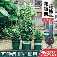 放放电影手机在线观看 兄弟影视放放电影网 苏乞儿手机观看放放电影
