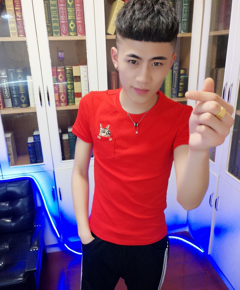 特价短袖男潮 修身社会_社会人短袖t恤男精神小伙修身快手红人同款网