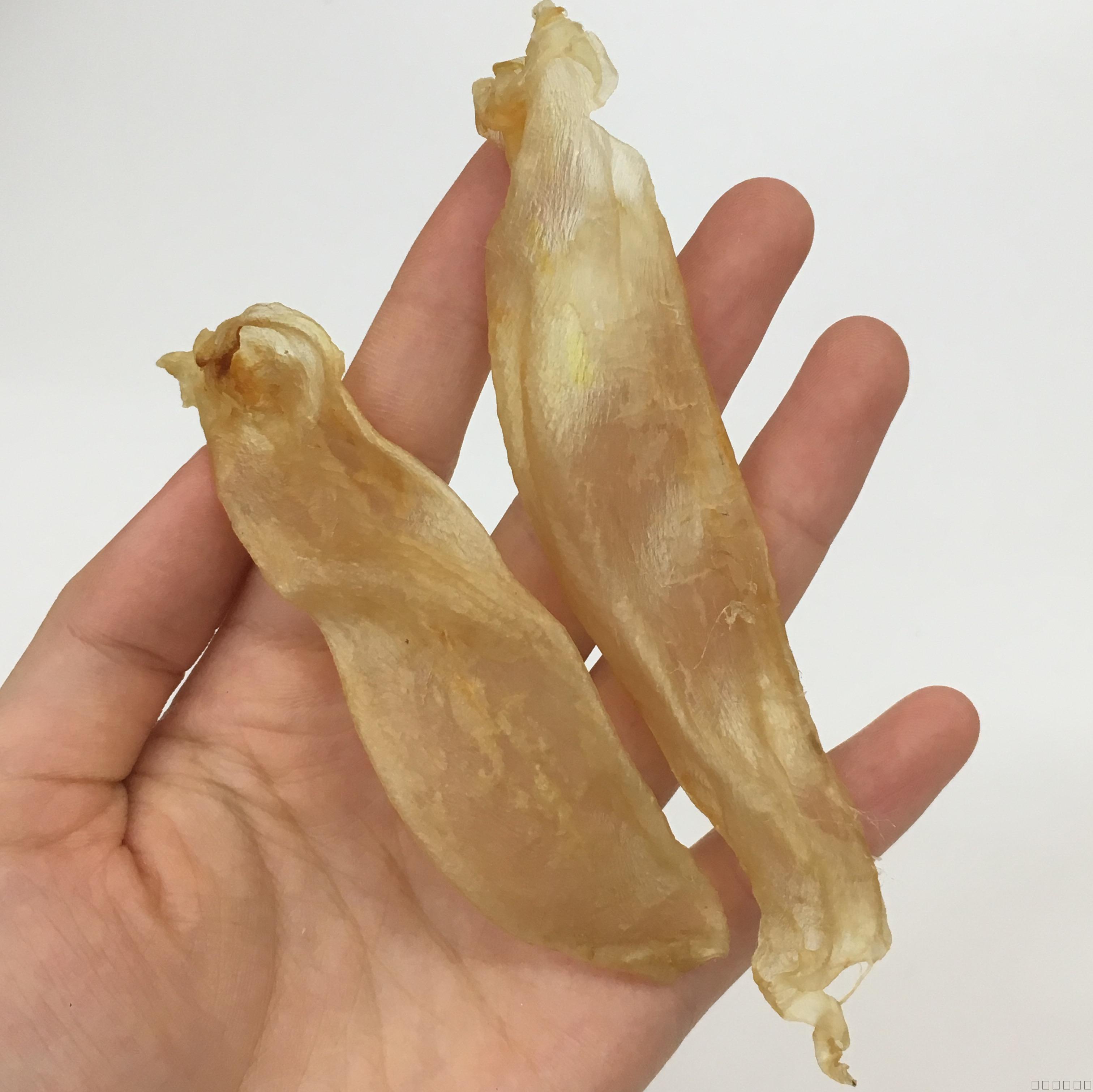 鱼胶具有活血,补血,止血,御寒祛湿等功效,所以能提高免疫力,对于讨适