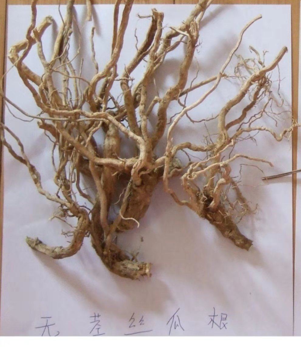 10份包邮 50克 丝瓜藤根 丝瓜根 中要材 中草要 霜后 18年新货