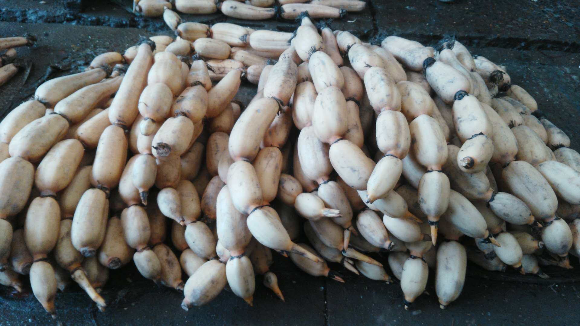 鲜藕_【500g】湖北荆州莲藕农家新鲜野生粉藕煲汤绿色健康蔬菜5斤包邮