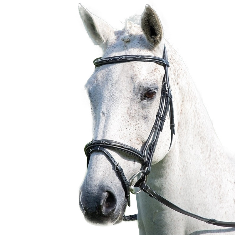 英国shires标准水勒缰(avignon)牛皮英式水勒缰洛奇马具8218086