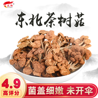 上色天天综合网在线 天天综合官网 天天综合手机版