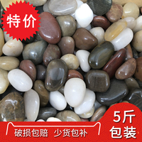 意识形态7m视频在线播放日本新建福利视频 7m视频青色小贩子