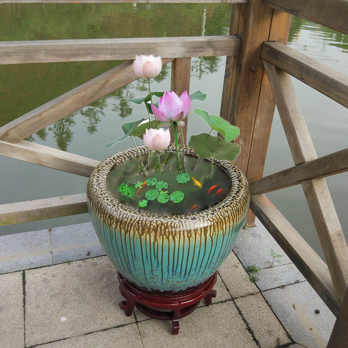 孔雀金鱼缸水族箱乌龟