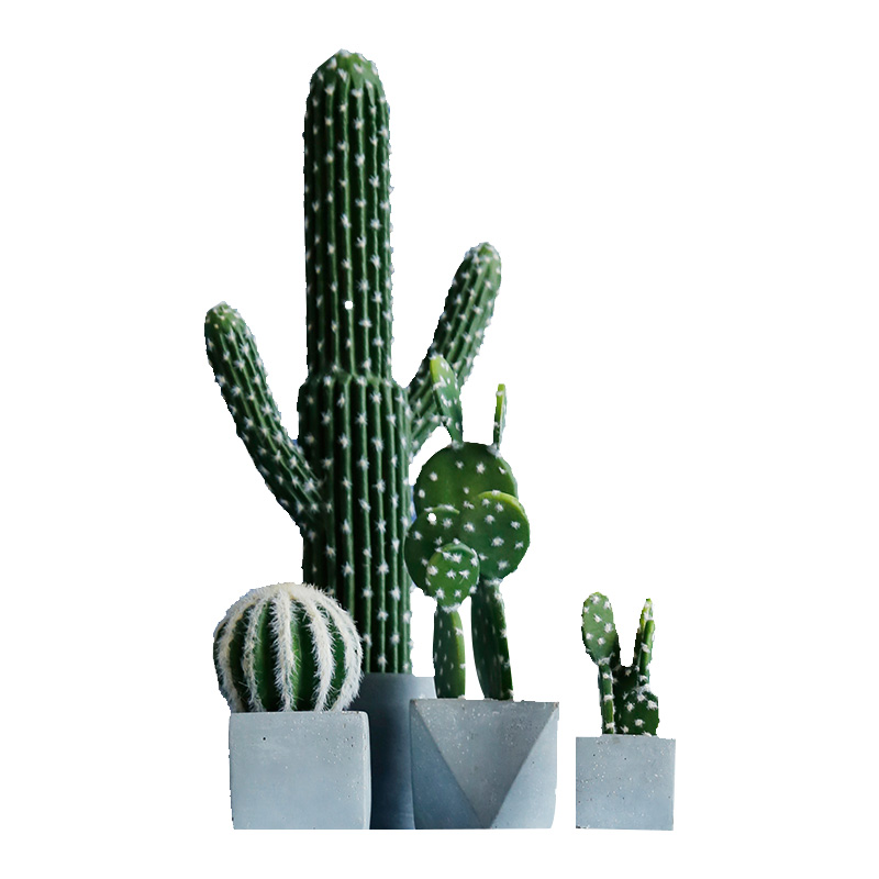ns北欧风仿真多肉仙人柱中大型绿植摆件仙人掌