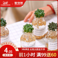 年轻的家教老师在线观看 年轻太太家教在线观看 我的家教老师韩国电影