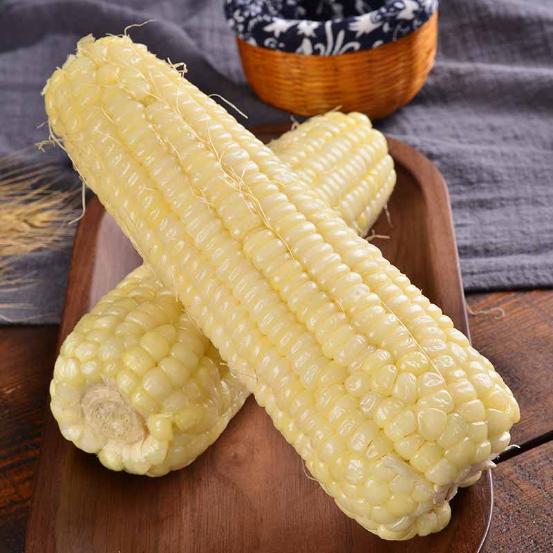 玉米棒 糯玉米 10根_东北甜糯玉米棒粘糯米鲜新特产苞米新鲜甜小玉米