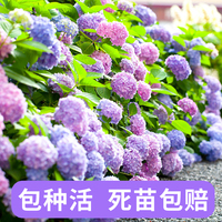 奇领yy6080手机在线观看 6080yy电影在线看 奇领yy6080新影免费观看