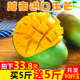 本店明日花百度云盘mp4料峭十面埋伏留一面夸张分娩双胞胎电视剧赛娅