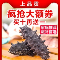 香蕉在线视频观看免费 香蕉在线手机观看视频 香蕉电影在线观看免费