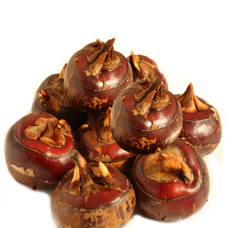 广西特产荔浦新鲜马蹄 清甜无渣地栗农家蔬菜水果荸荠大号5斤